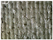 Materials 17 04898 i013