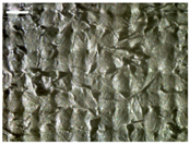 Materials 17 04898 i017