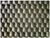 Materials 17 04898 i018