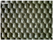 Materials 17 04898 i019