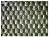 Materials 17 04898 i022