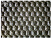 Materials 17 04898 i023