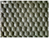 Materials 17 04898 i024