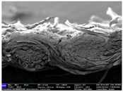 Materials 17 04898 i049