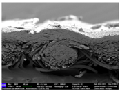 Materials 17 04898 i051