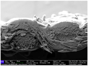 Materials 17 04898 i053