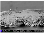 Materials 17 04898 i054