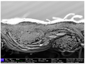 Materials 17 04898 i055