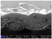 Materials 17 04898 i056