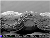 Materials 17 04898 i064