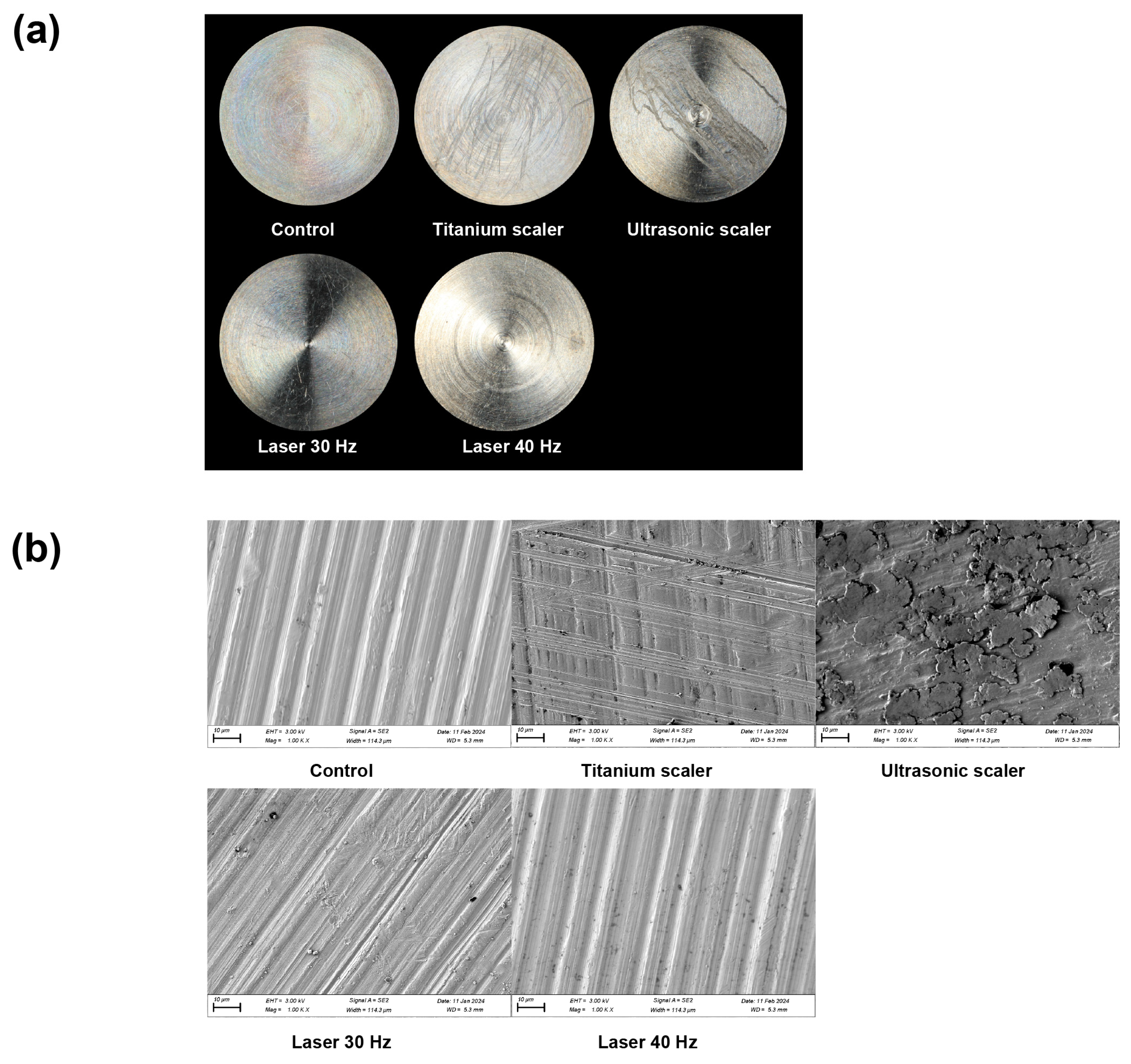 Materials 17 04899 g001