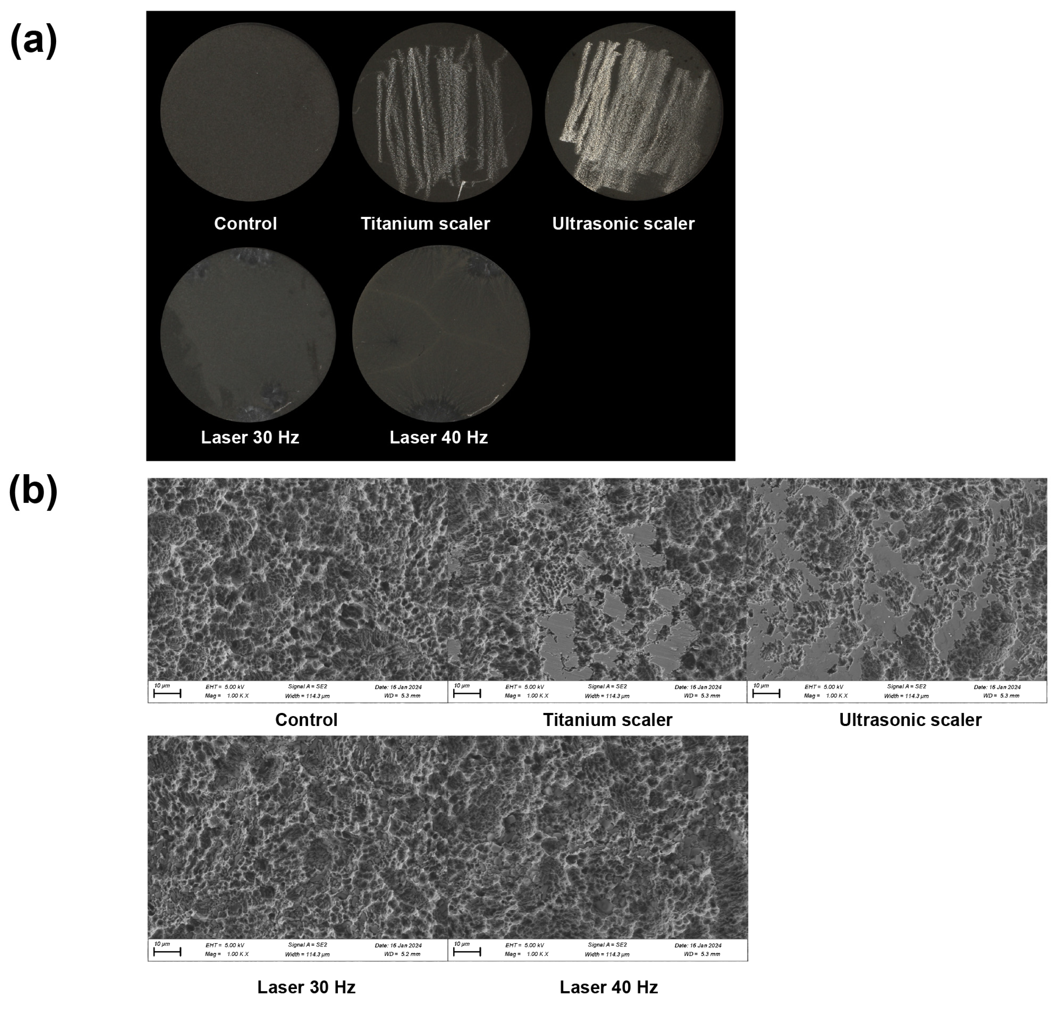 Materials 17 04899 g003
