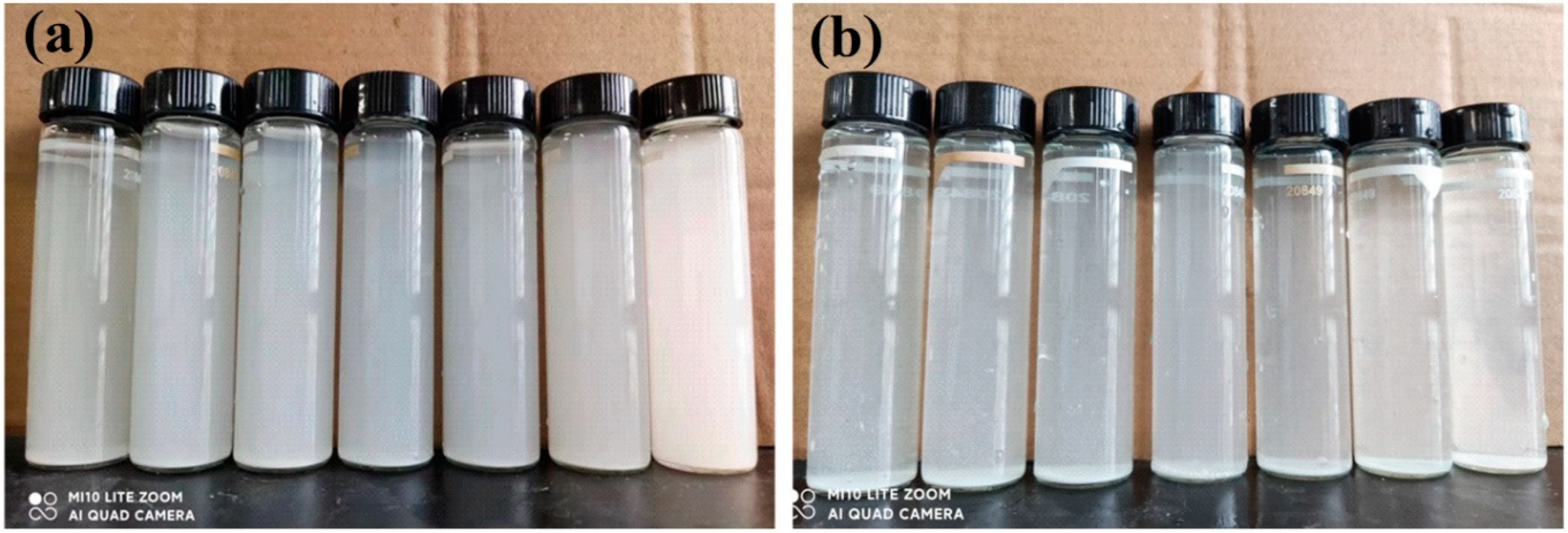 Materials 17 04901 g003