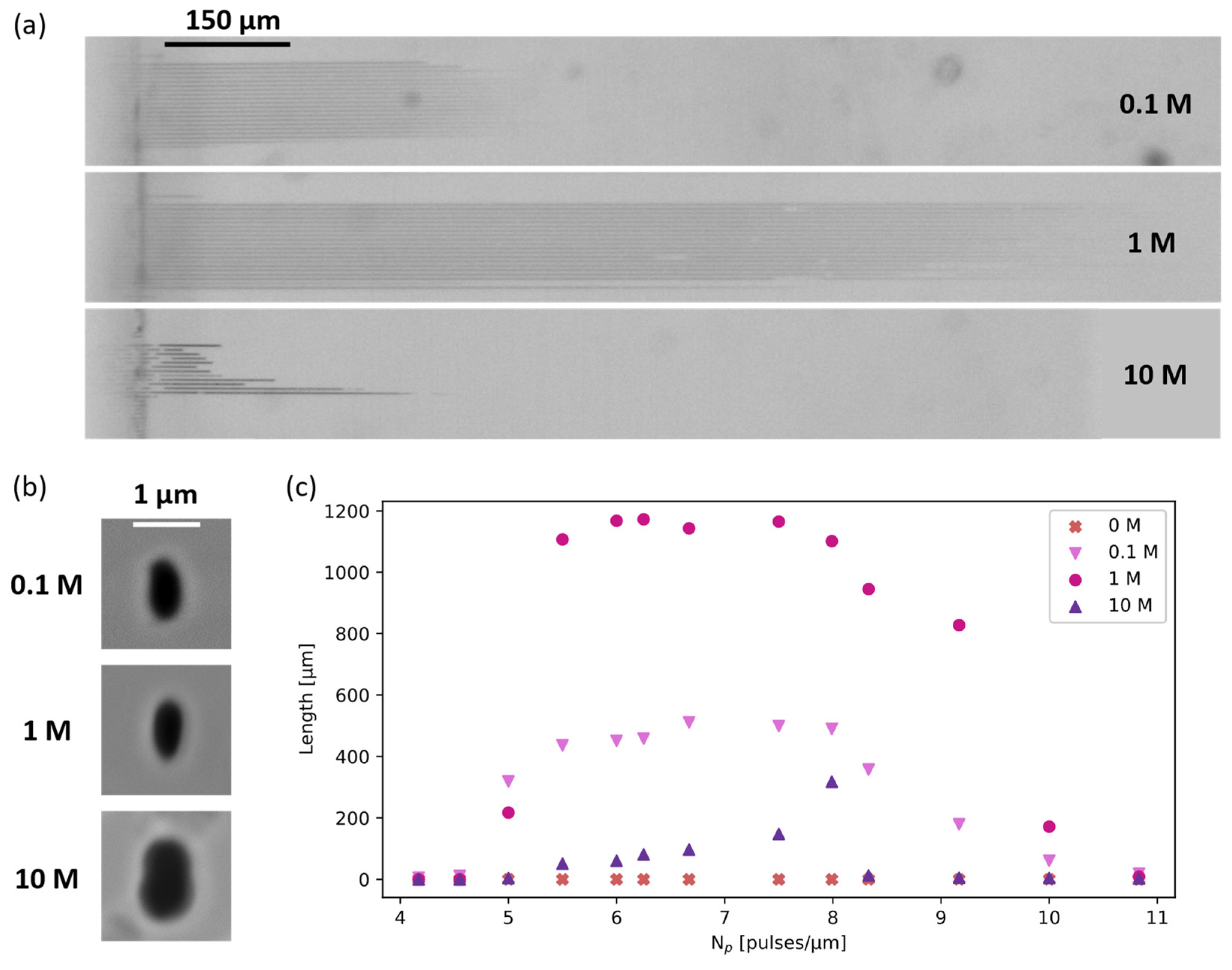 Materials 17 04906 g001