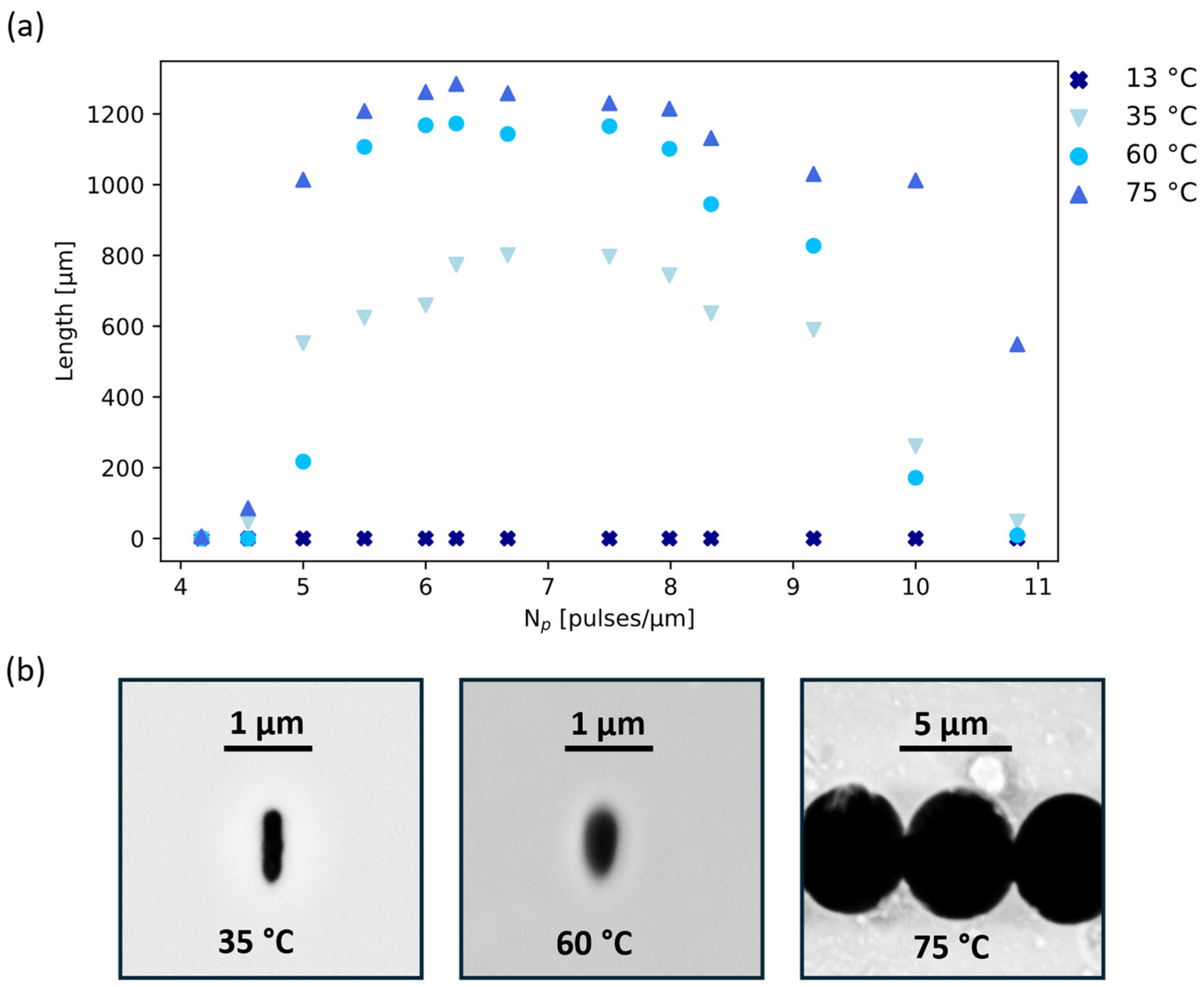 Materials 17 04906 g002