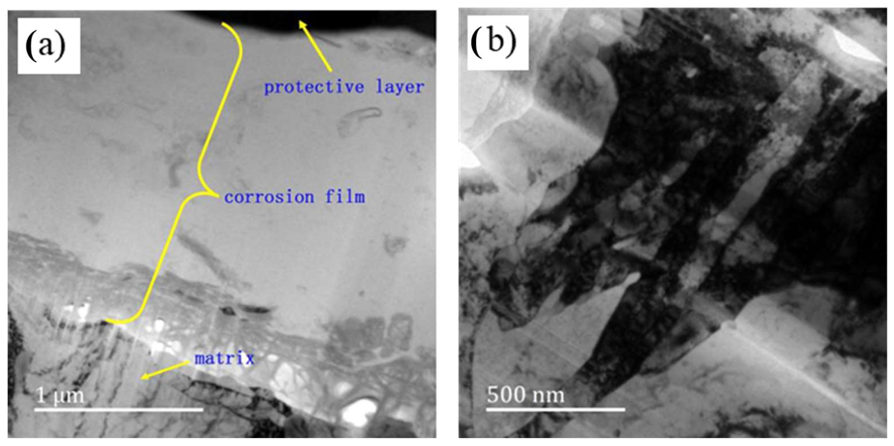 Materials 17 04907 g005