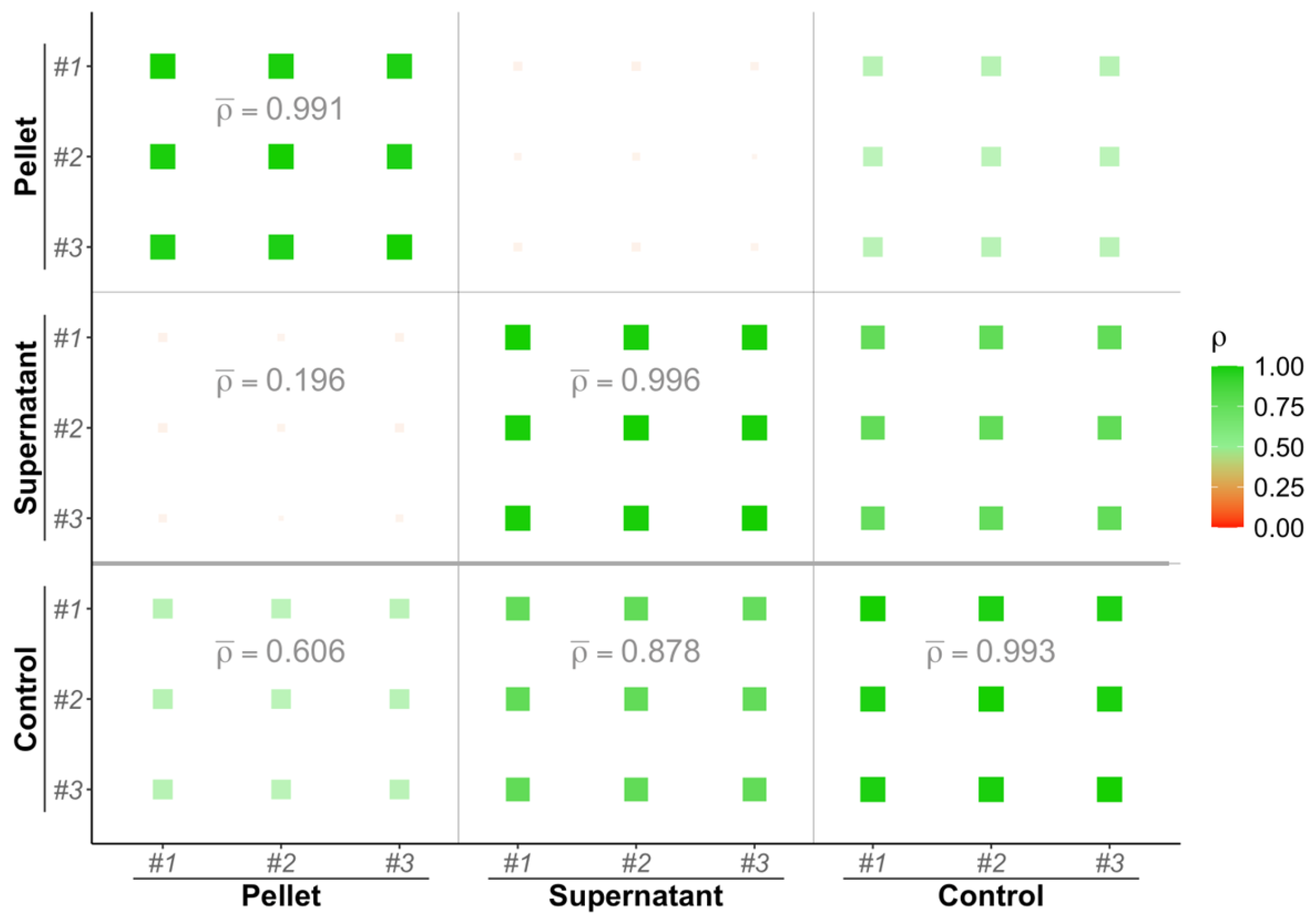 Materials 17 04909 g003