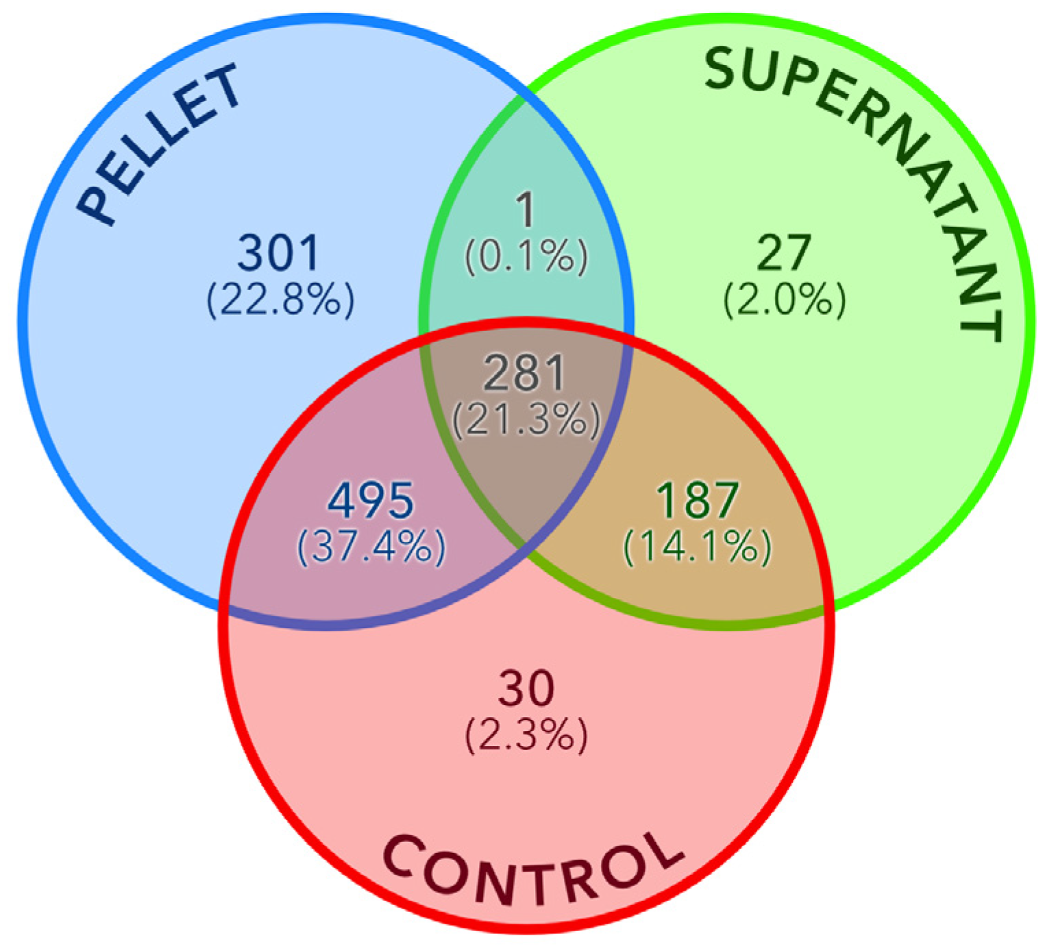 Materials 17 04909 g005