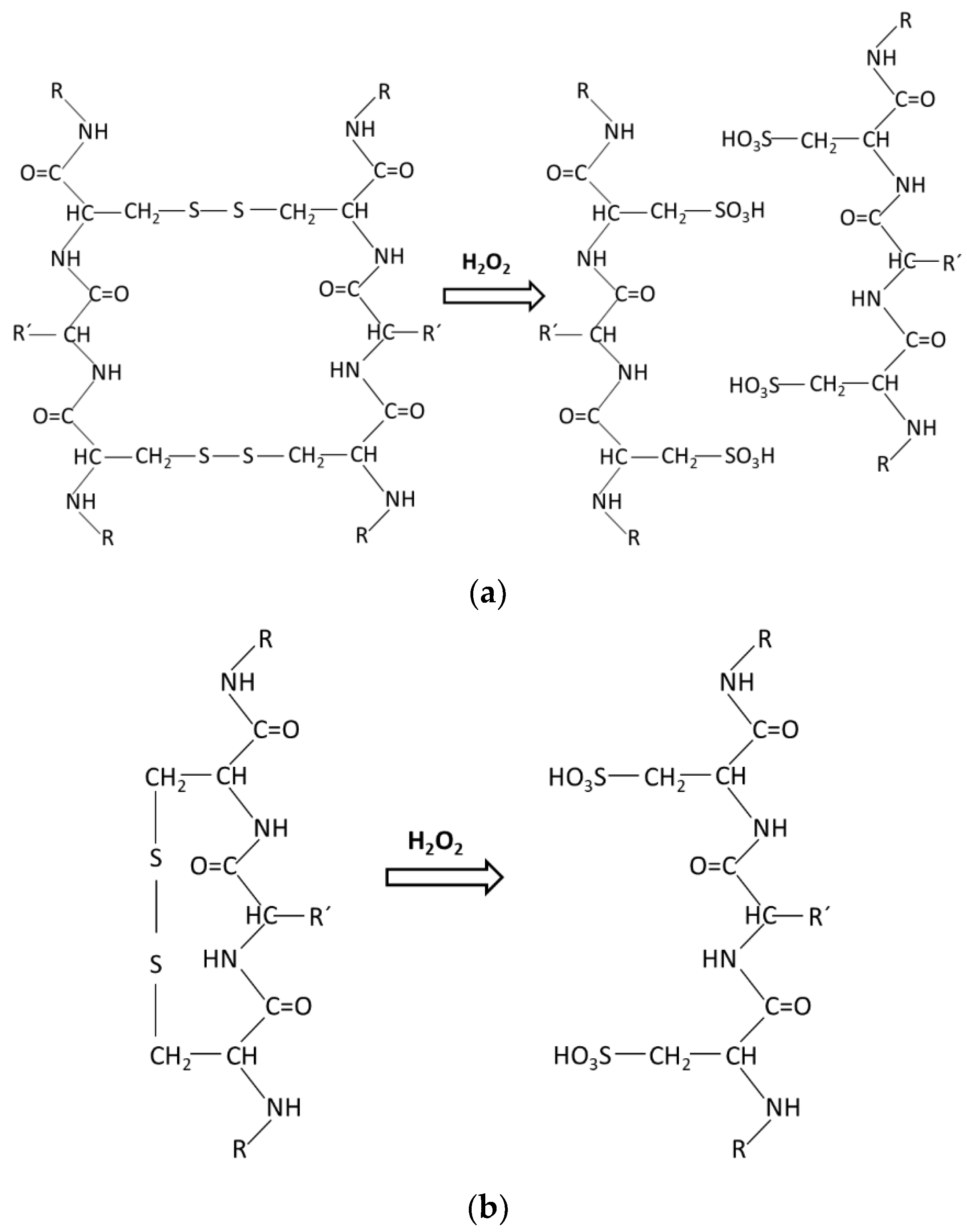 Materials 17 04912 g002