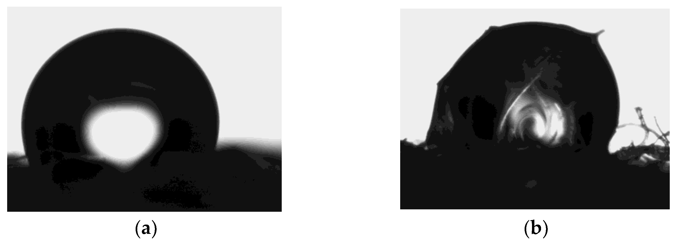 Materials 17 04912 g003