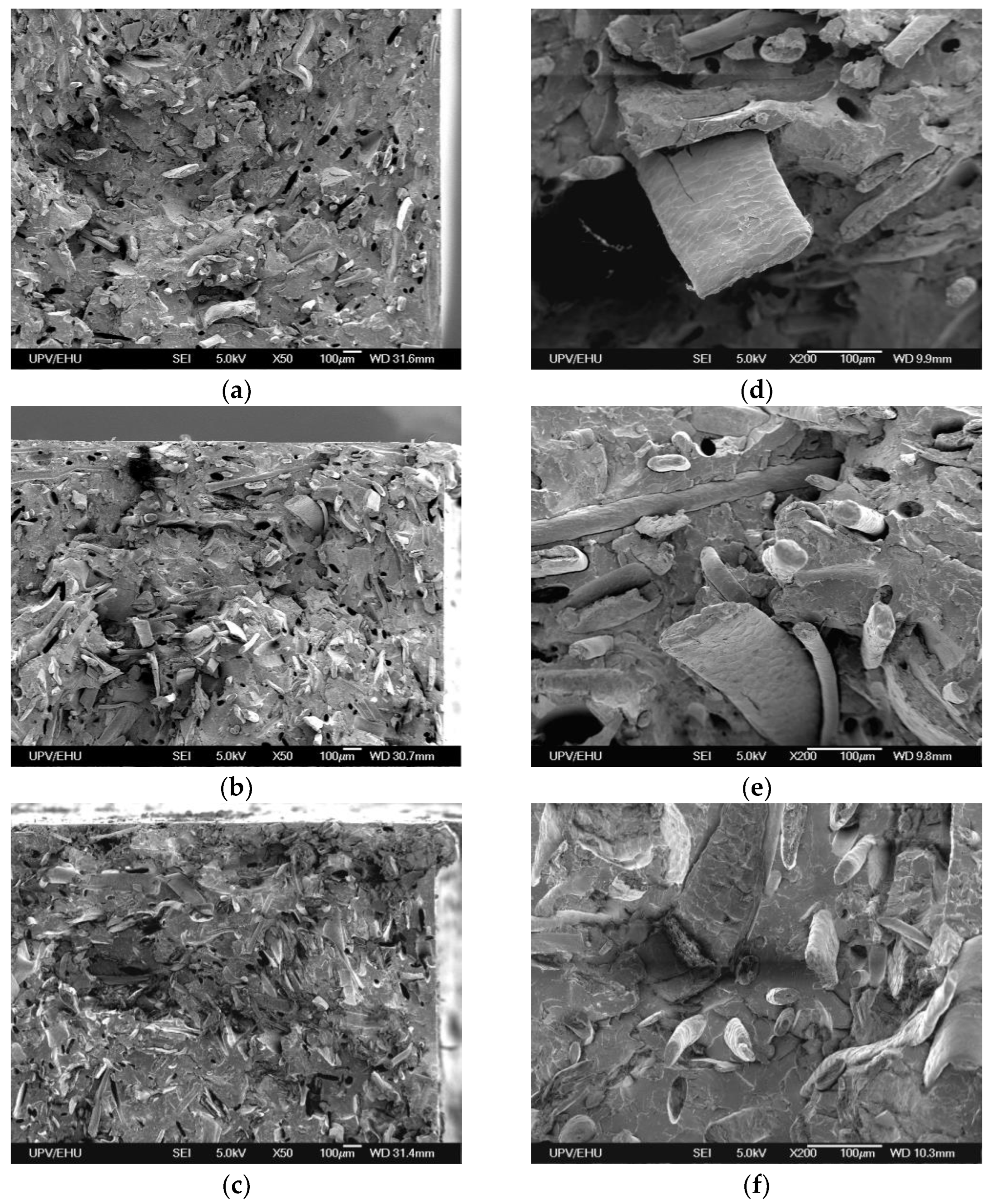 Materials 17 04912 g008