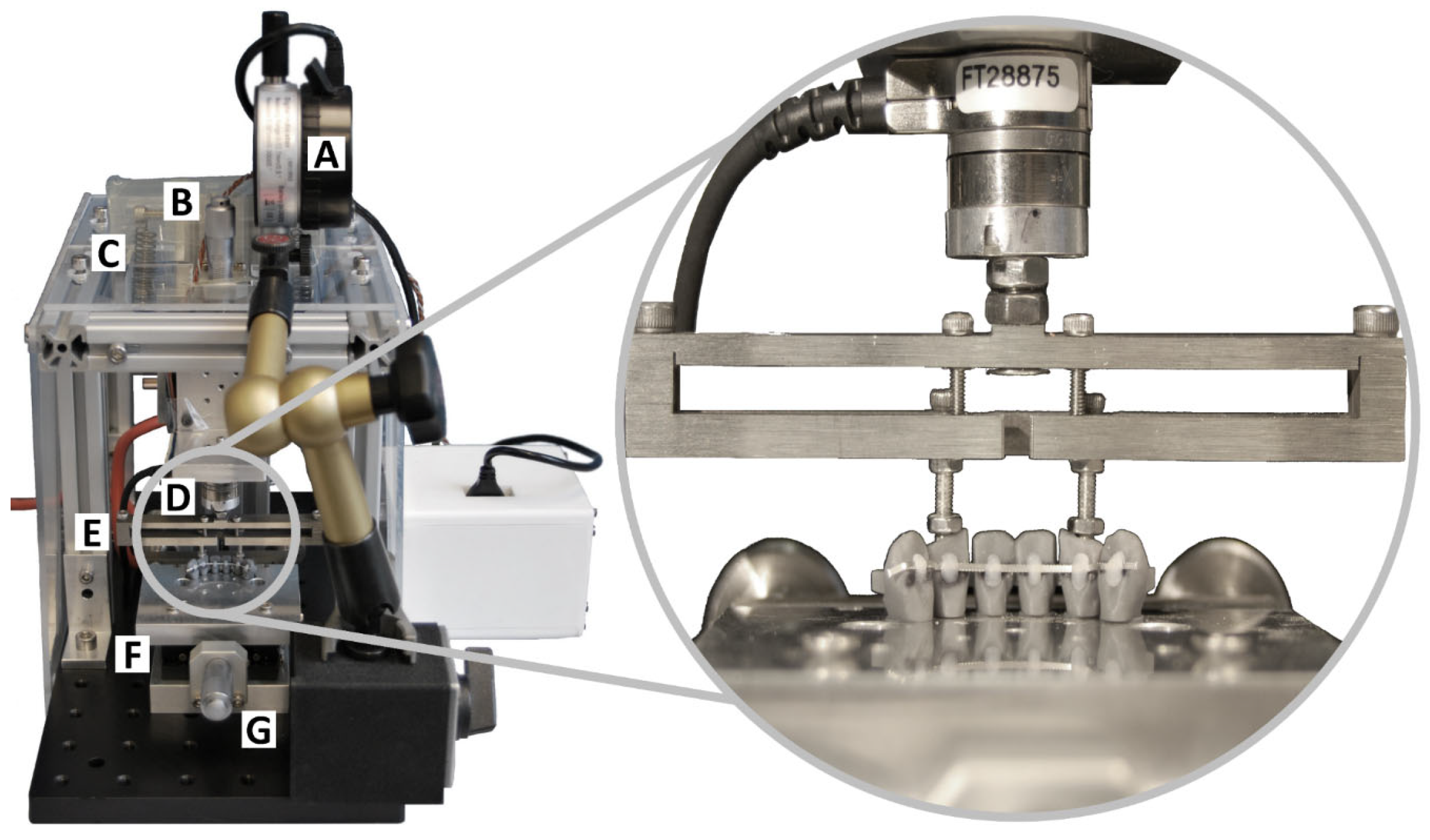 Materials 17 04916 g001