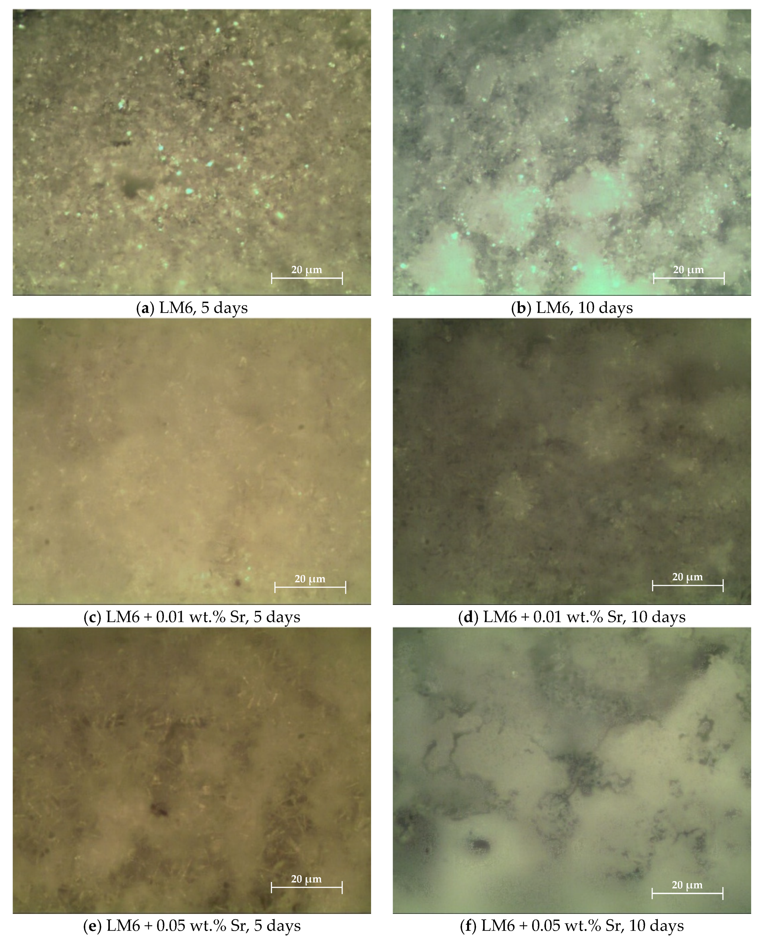Materials 17 04923 g005