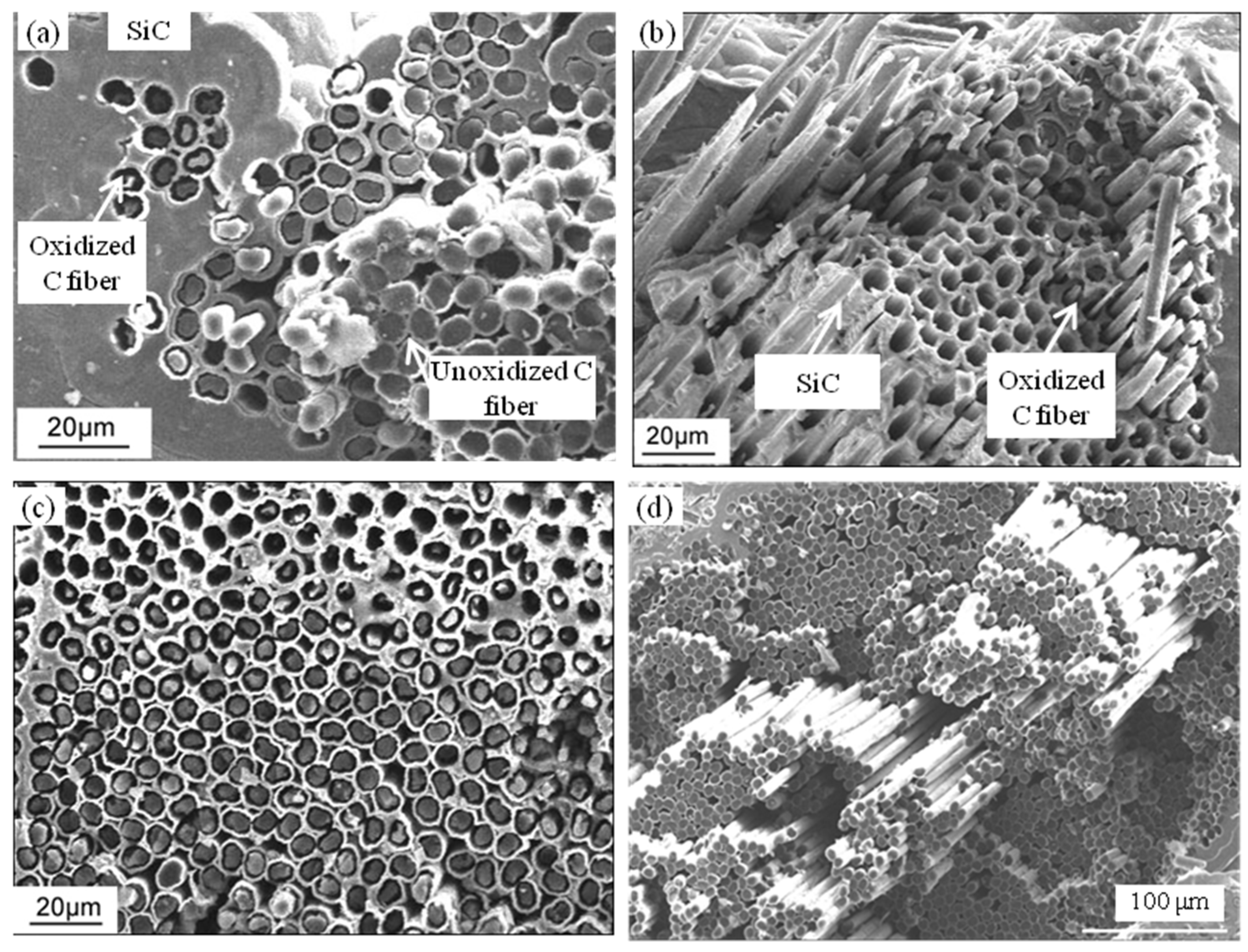 Materials 17 04925 g005