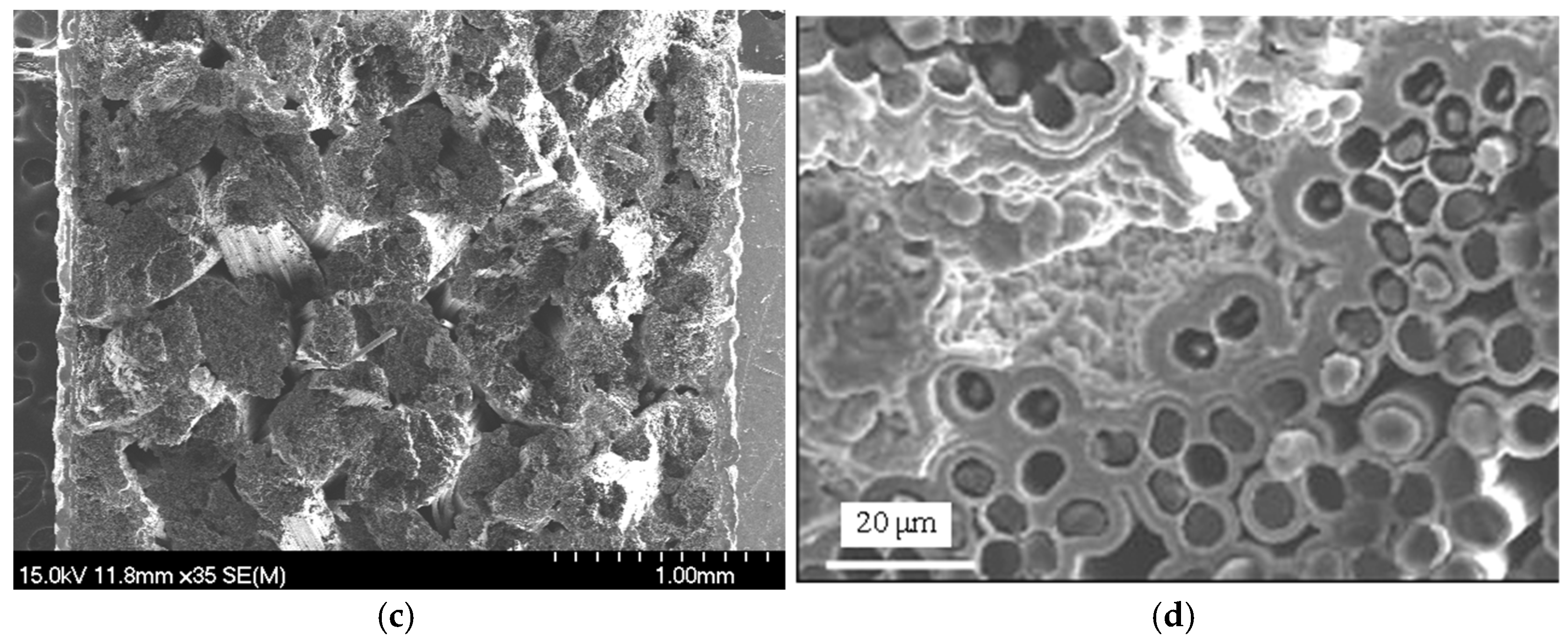 Materials 17 04925 g007b