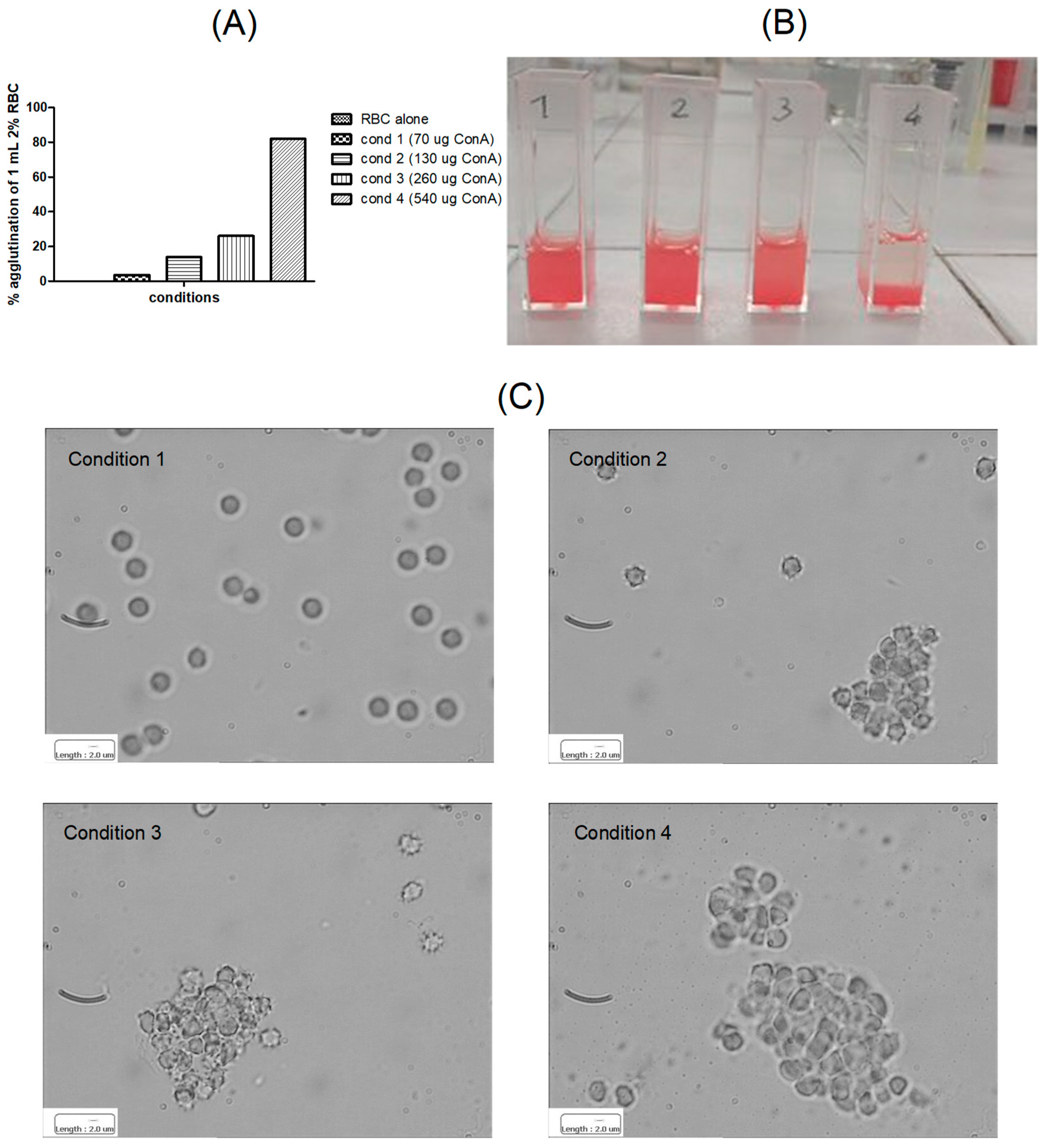Materials 17 04959 g002