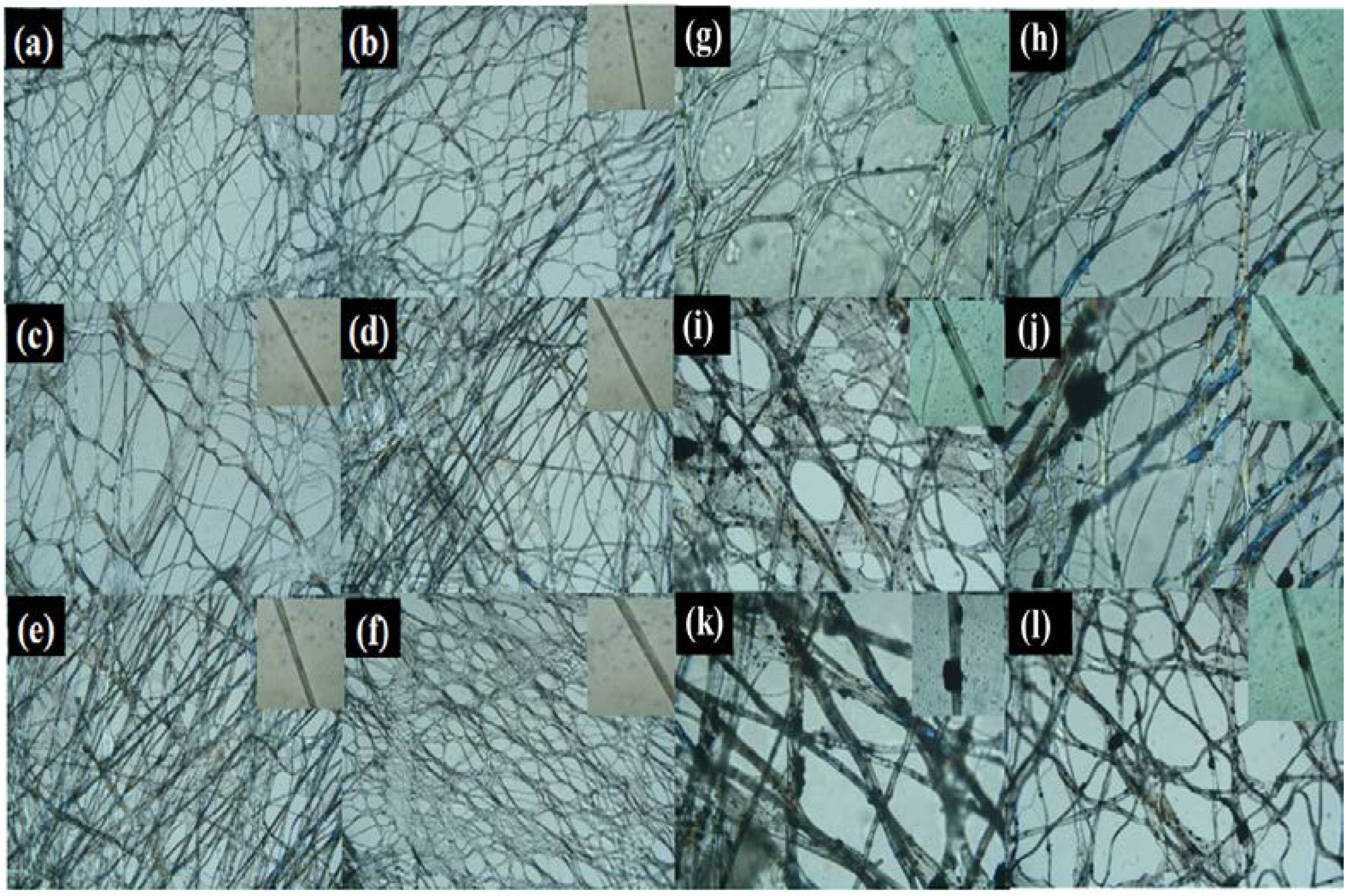 Materials 17 04963 g002