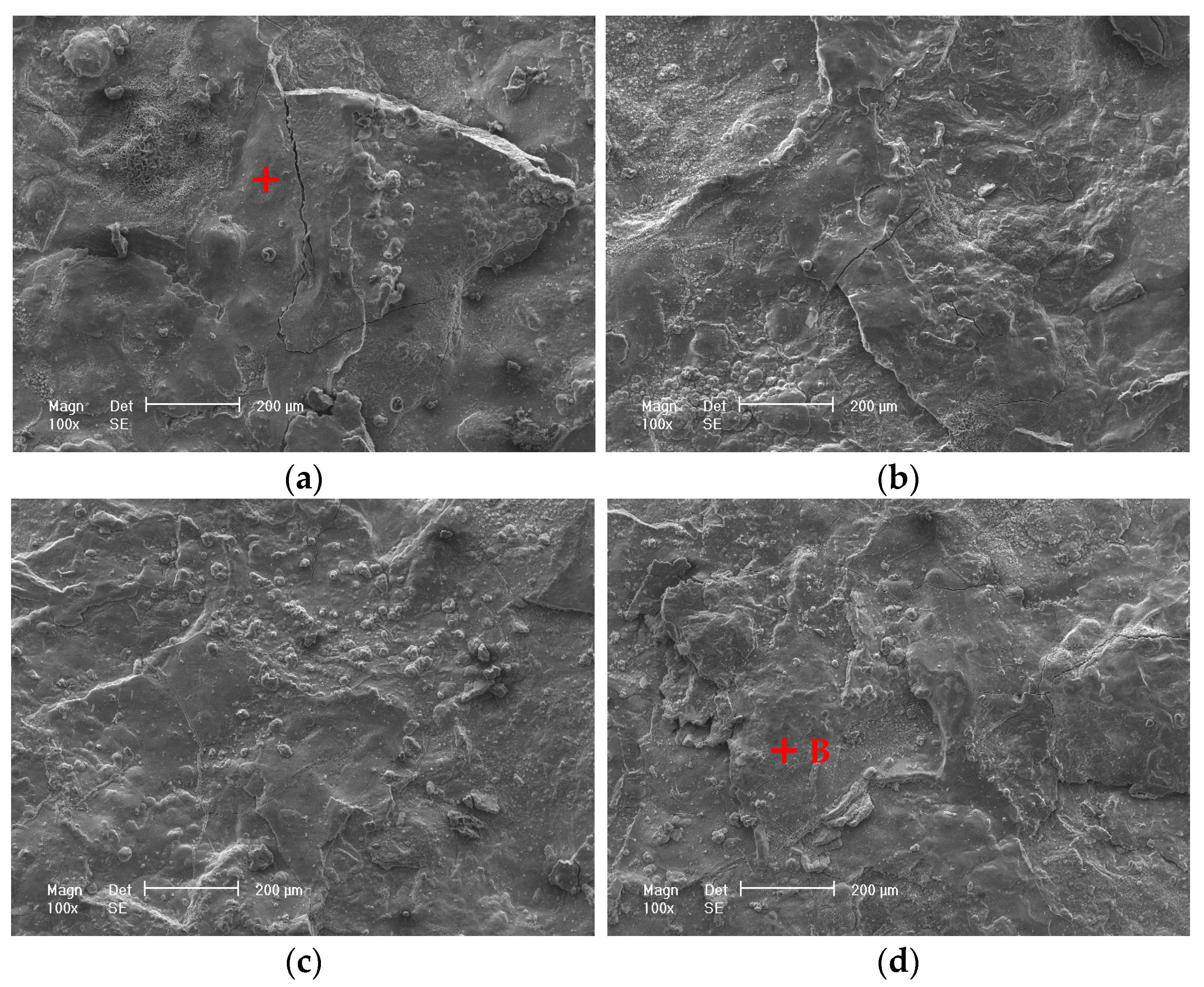 Materials 17 04964 g003