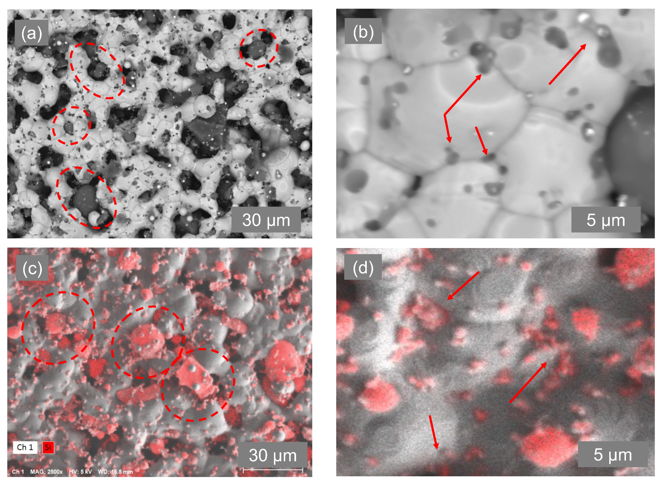 Materials 17 04966 g010 Materials 17 04966 g010