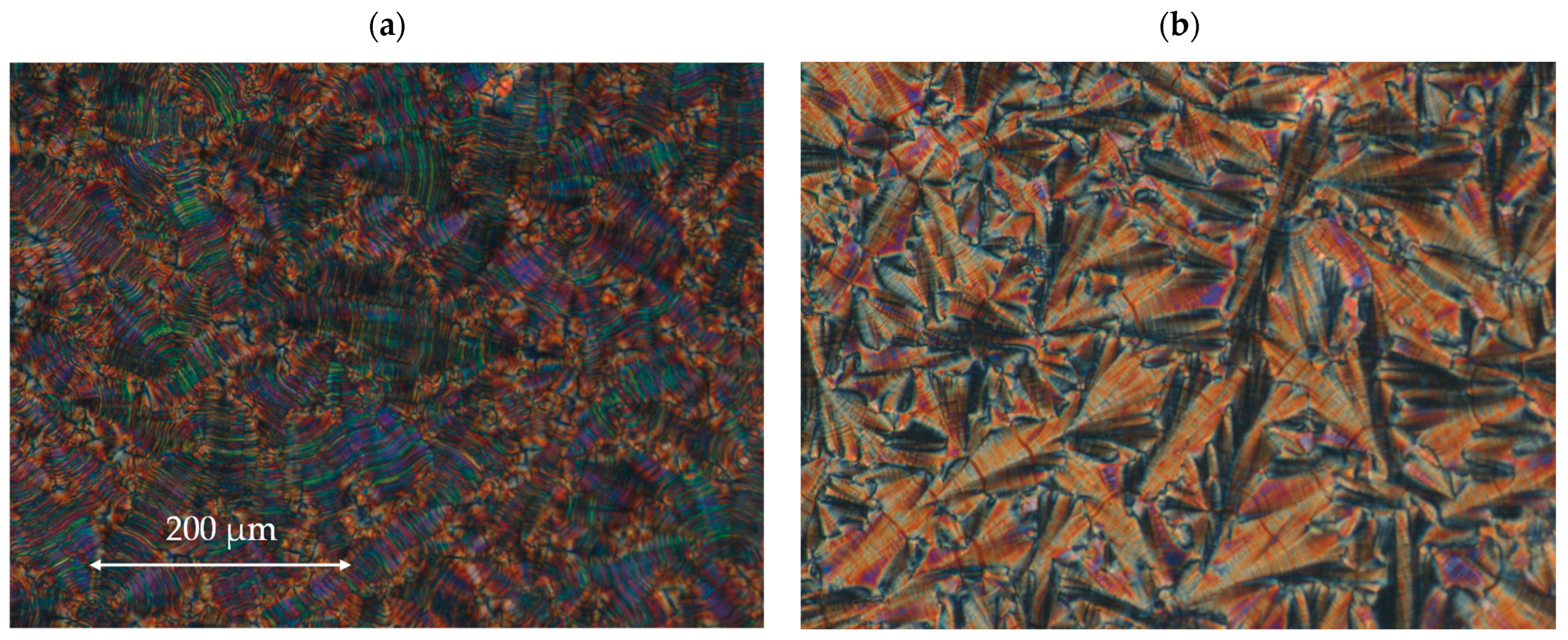 Materials 17 04967 g005