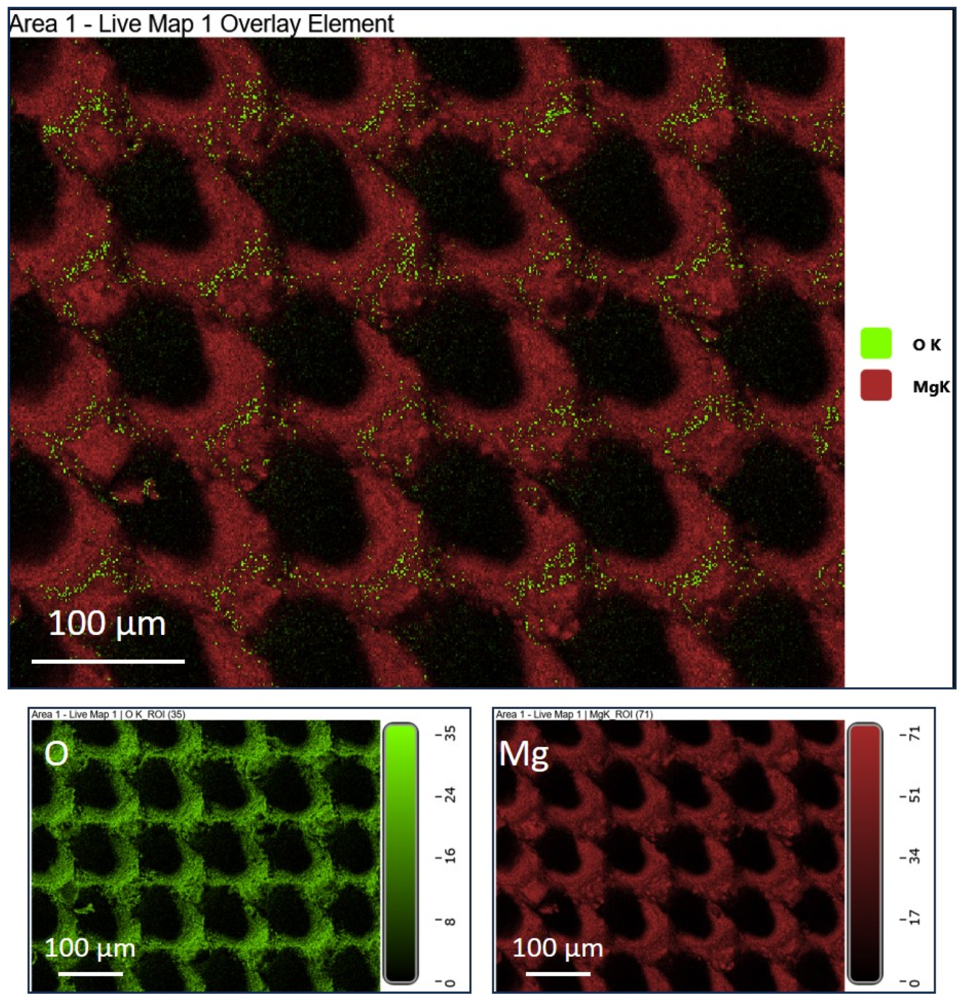 Materials 17 04978 g005