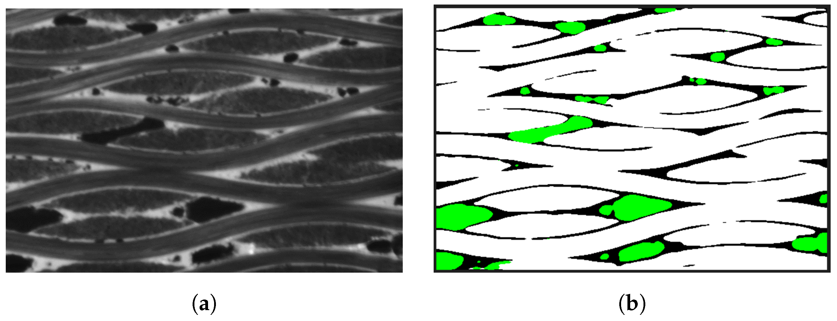 Materials 17 04987 g011