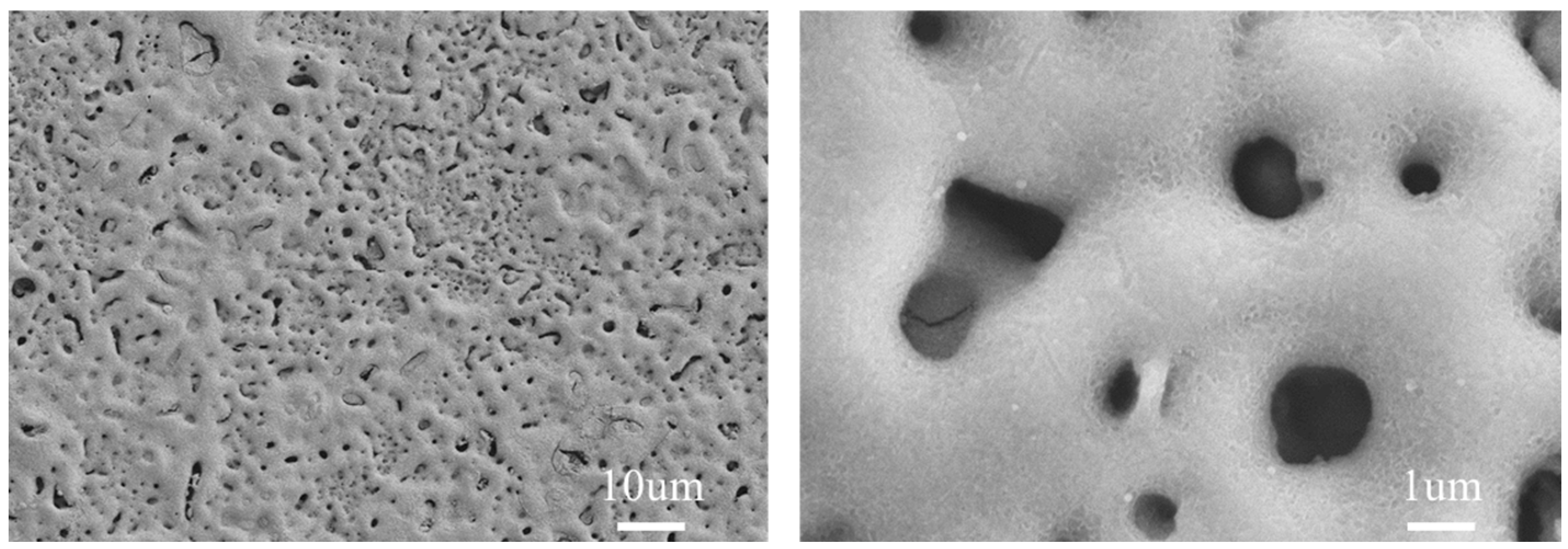 Materials 17 04988 g004