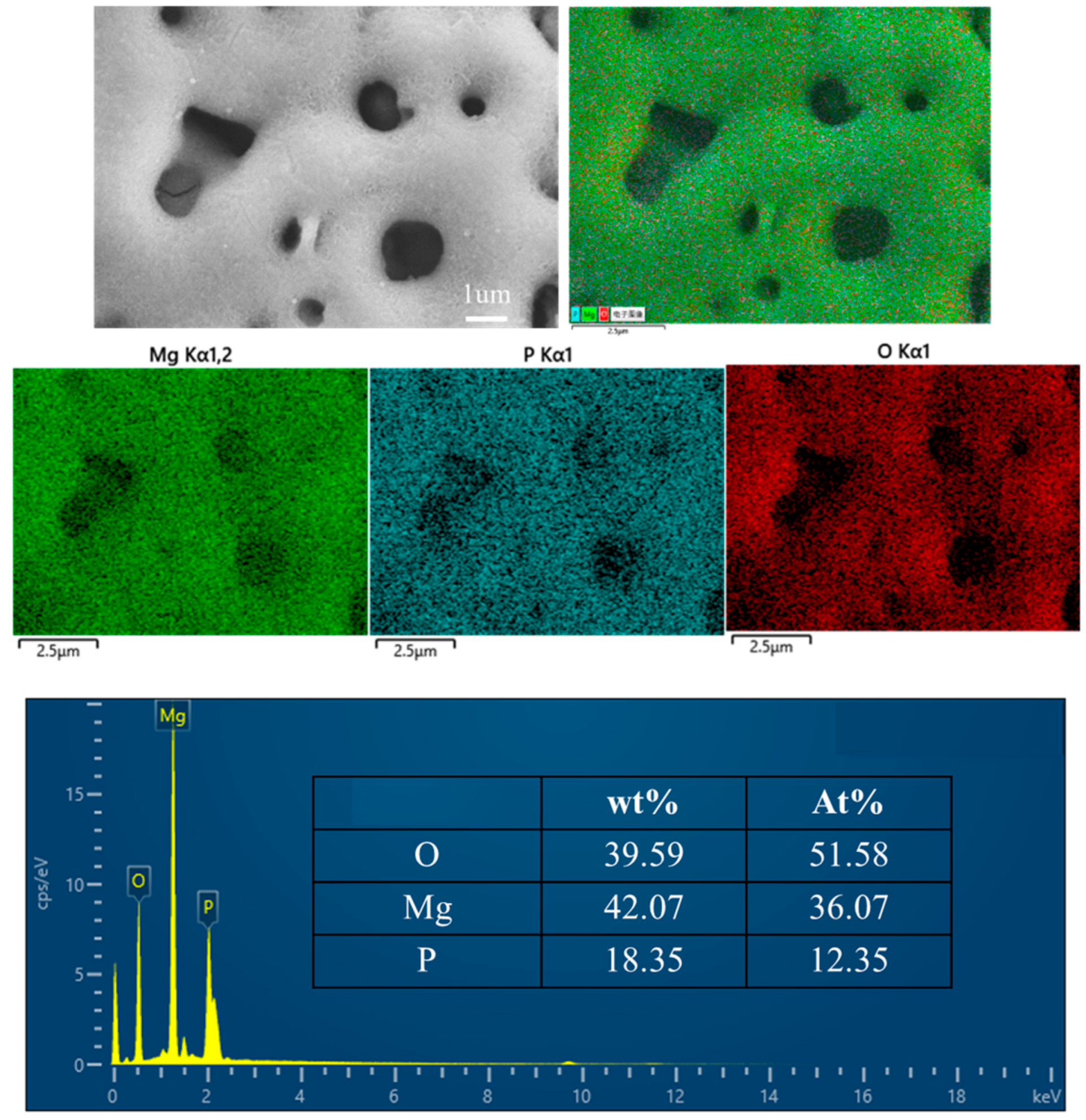 Materials 17 04988 g005