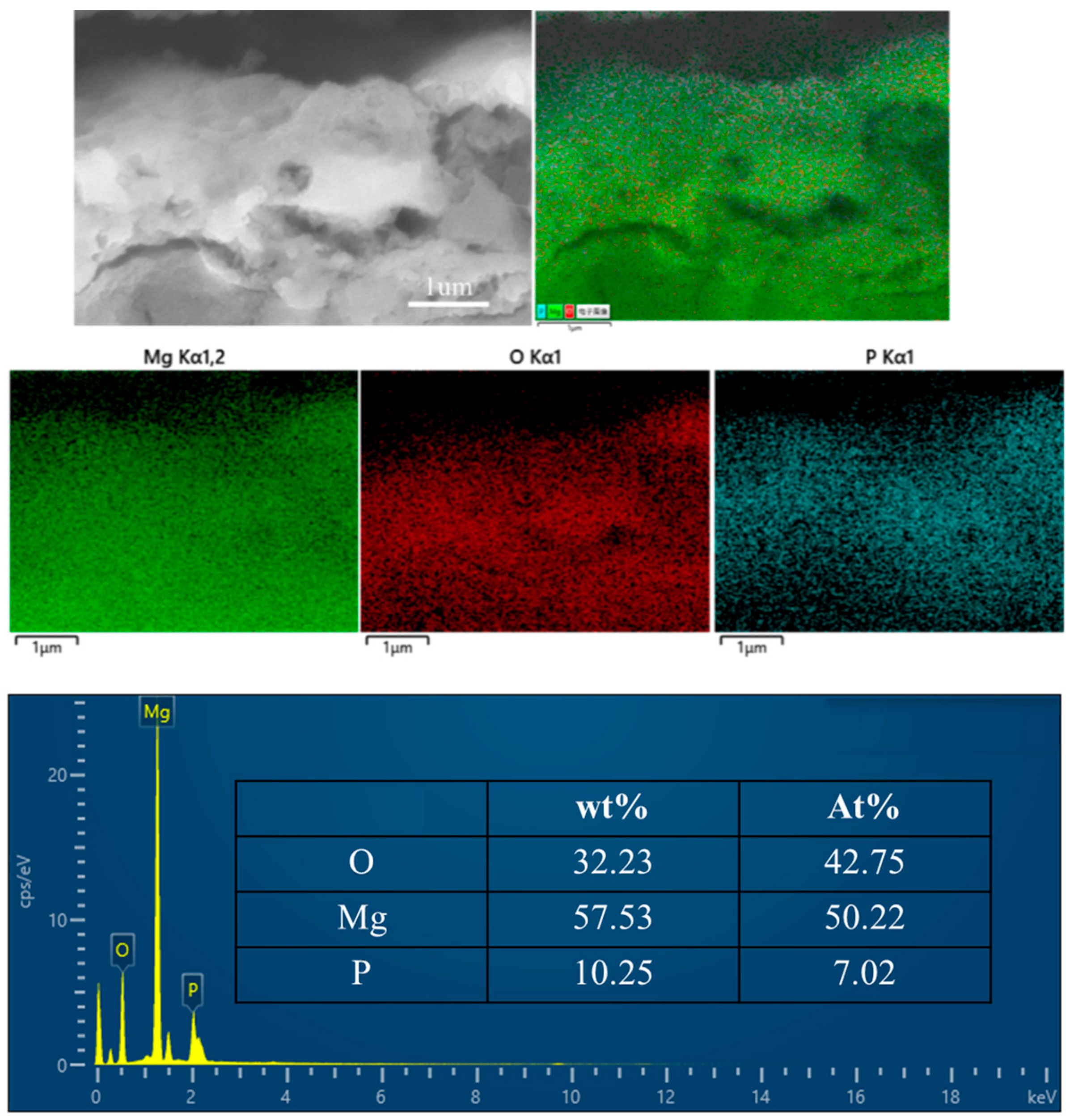 Materials 17 04988 g007