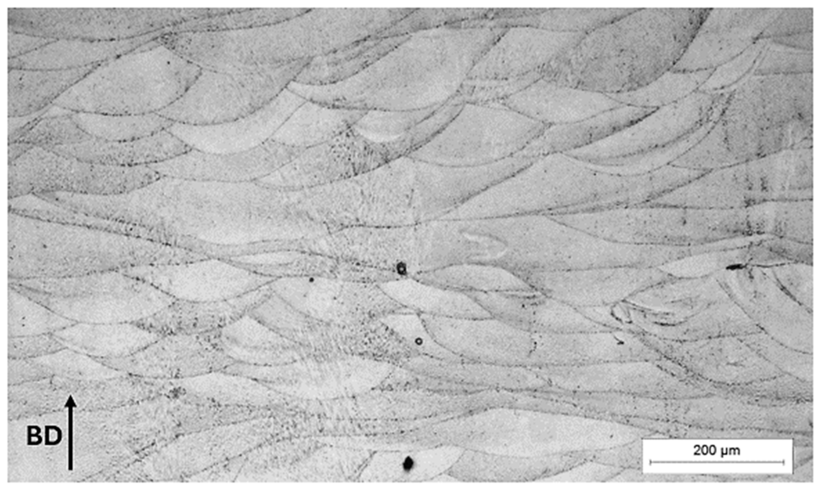 Materials 17 04993 g005