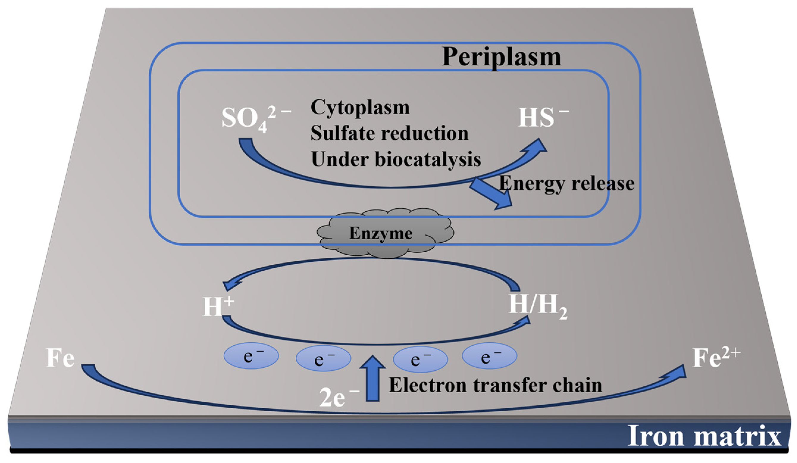Materials 17 04996 g002