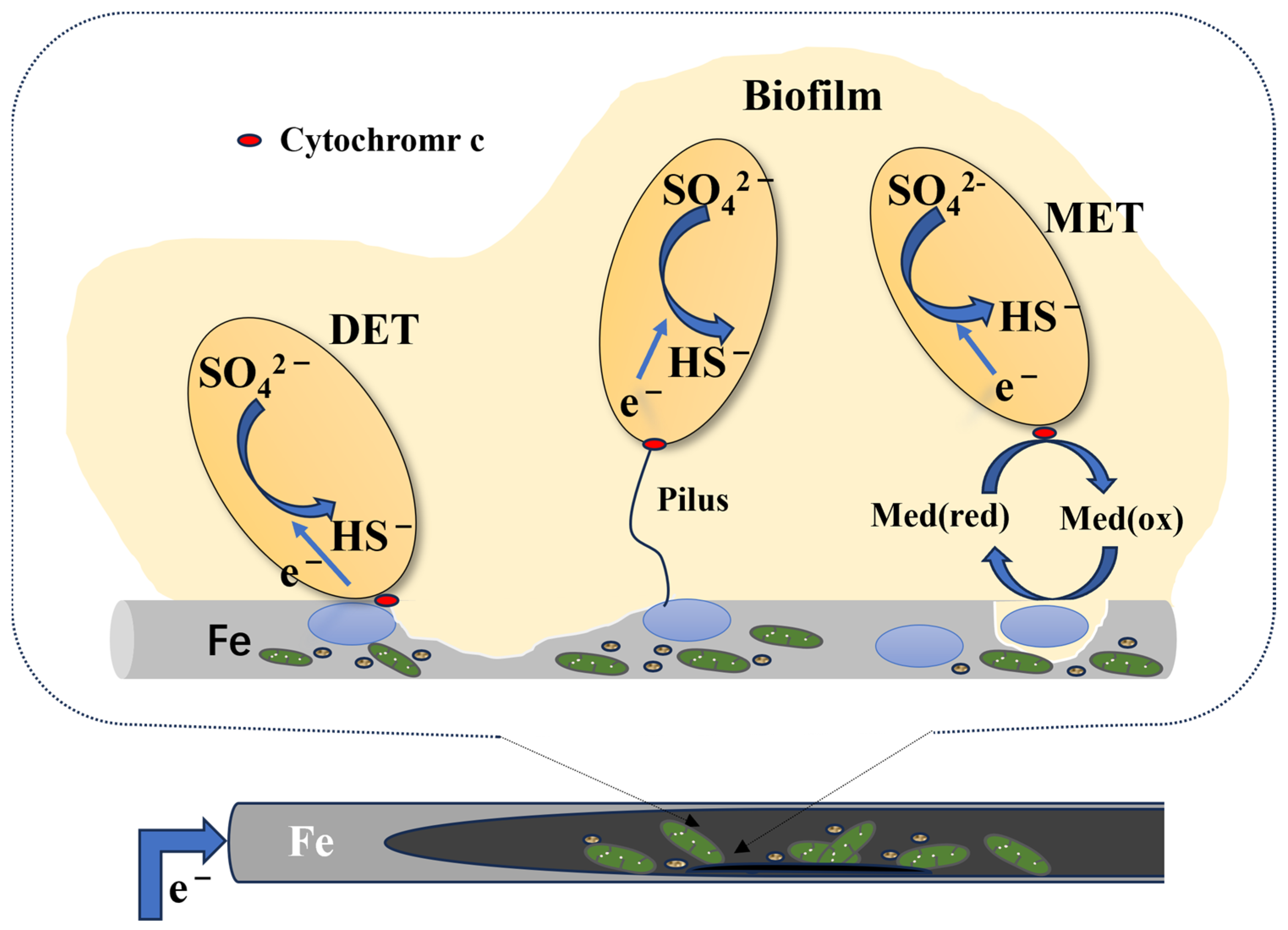 Materials 17 04996 g004