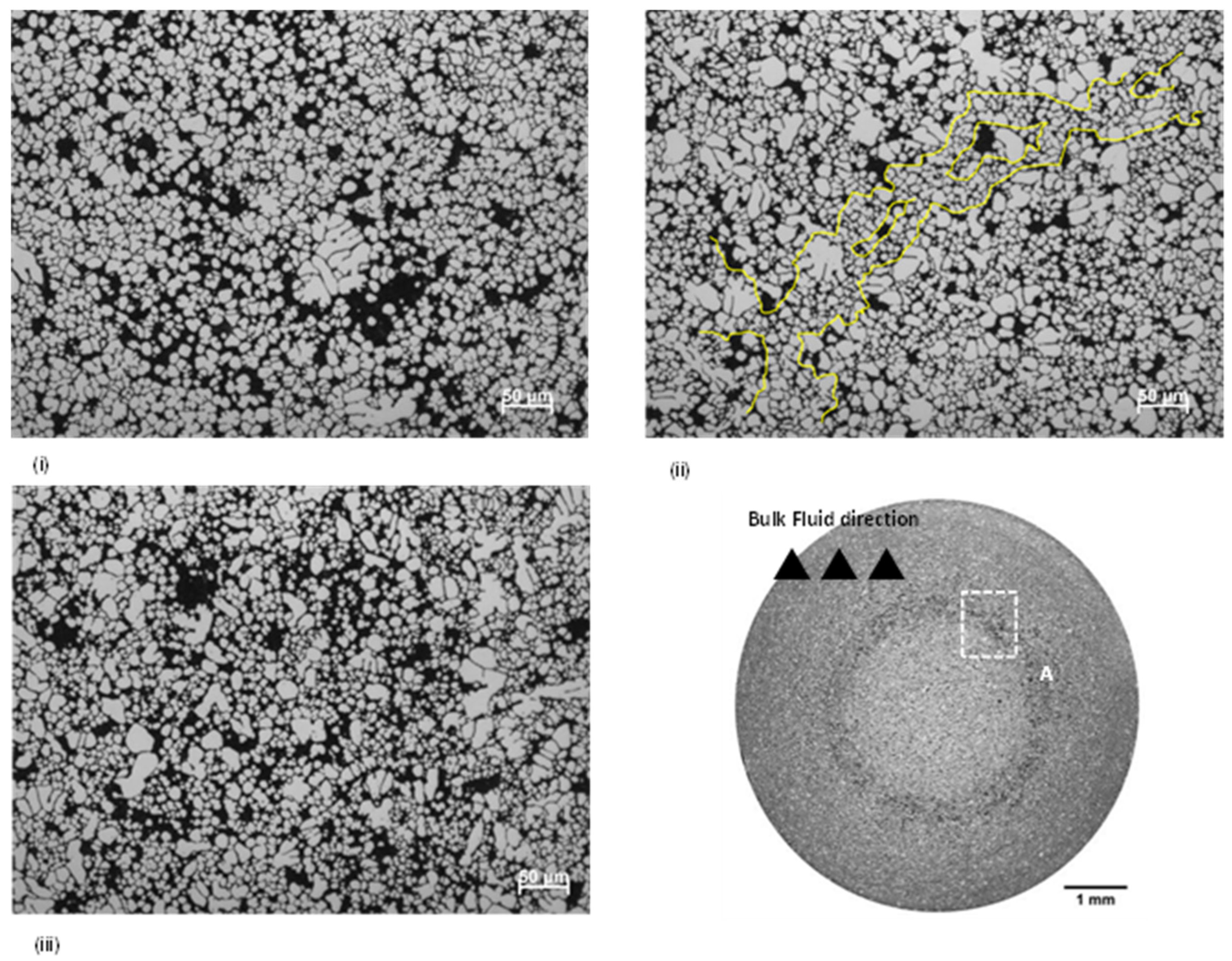 Materials 17 05001 g005