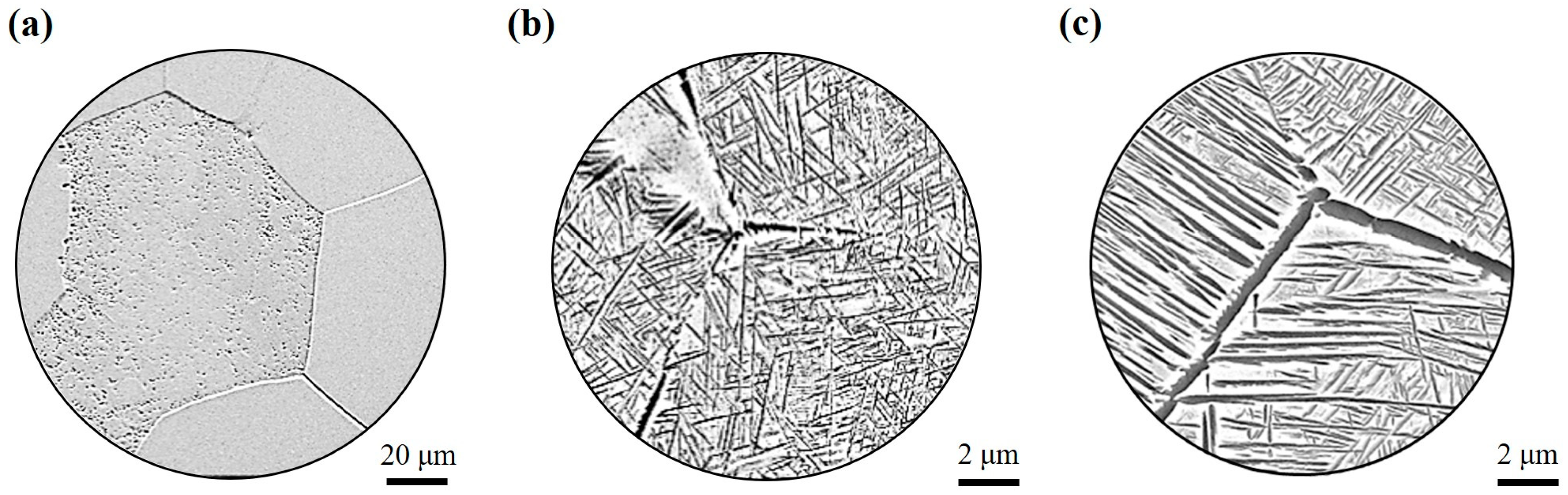 Materials 17 05010 g006