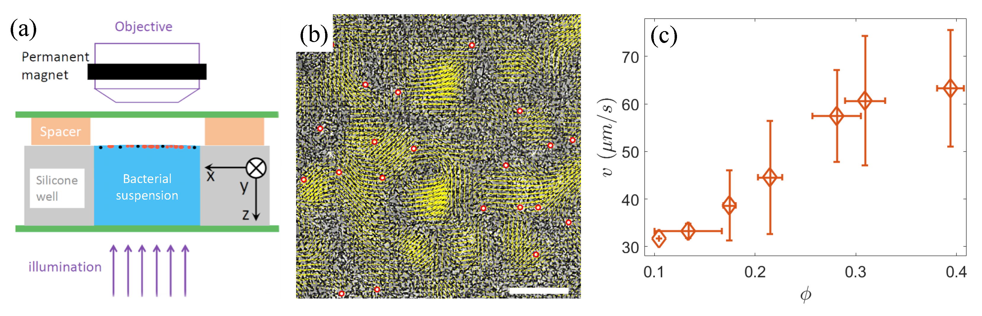 Materials 17 05013 g001