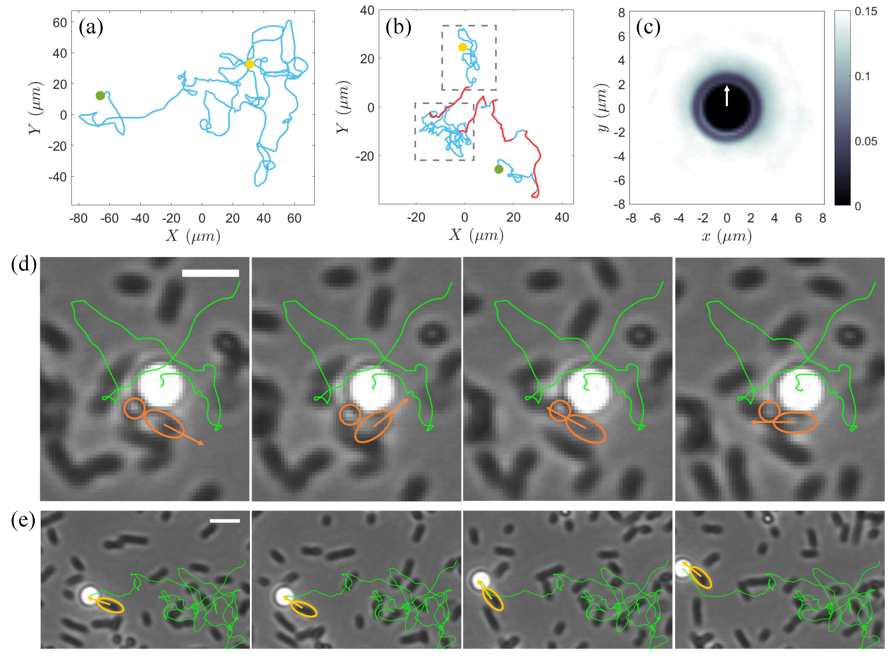 Materials 17 05013 g002