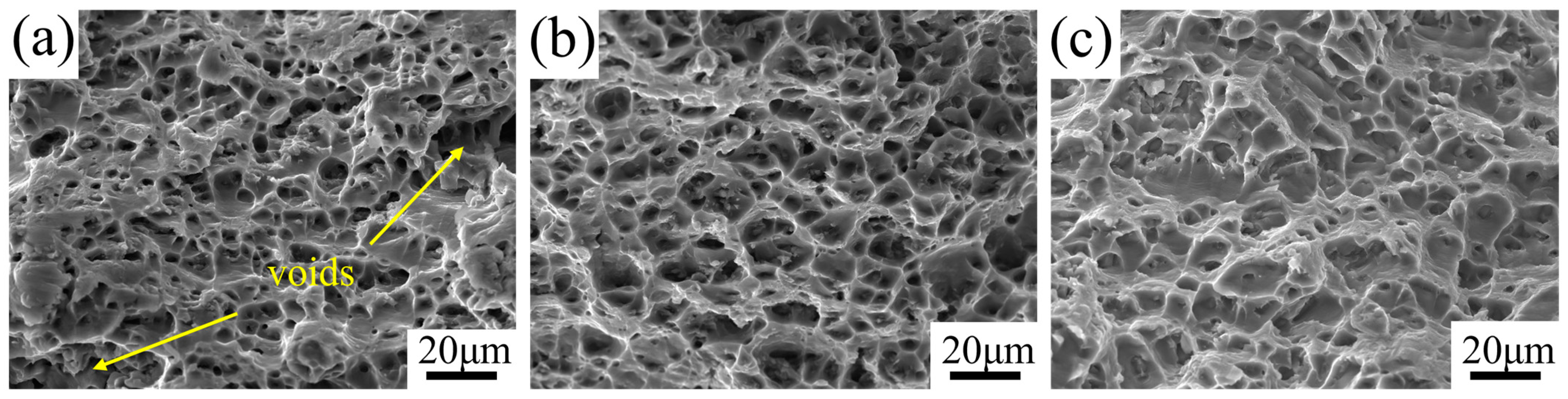 Materials 17 05017 g008