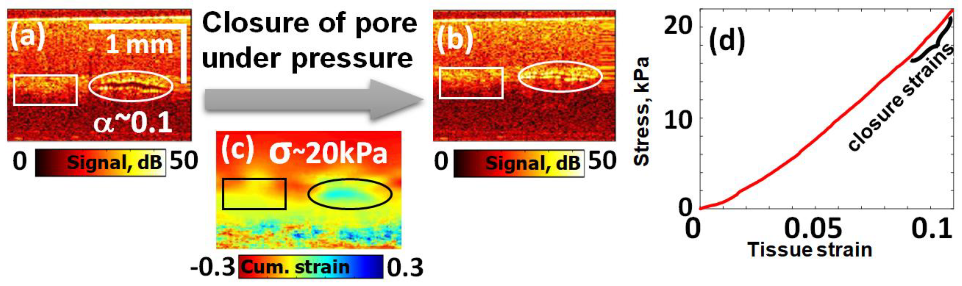 Materials 17 05023 g002