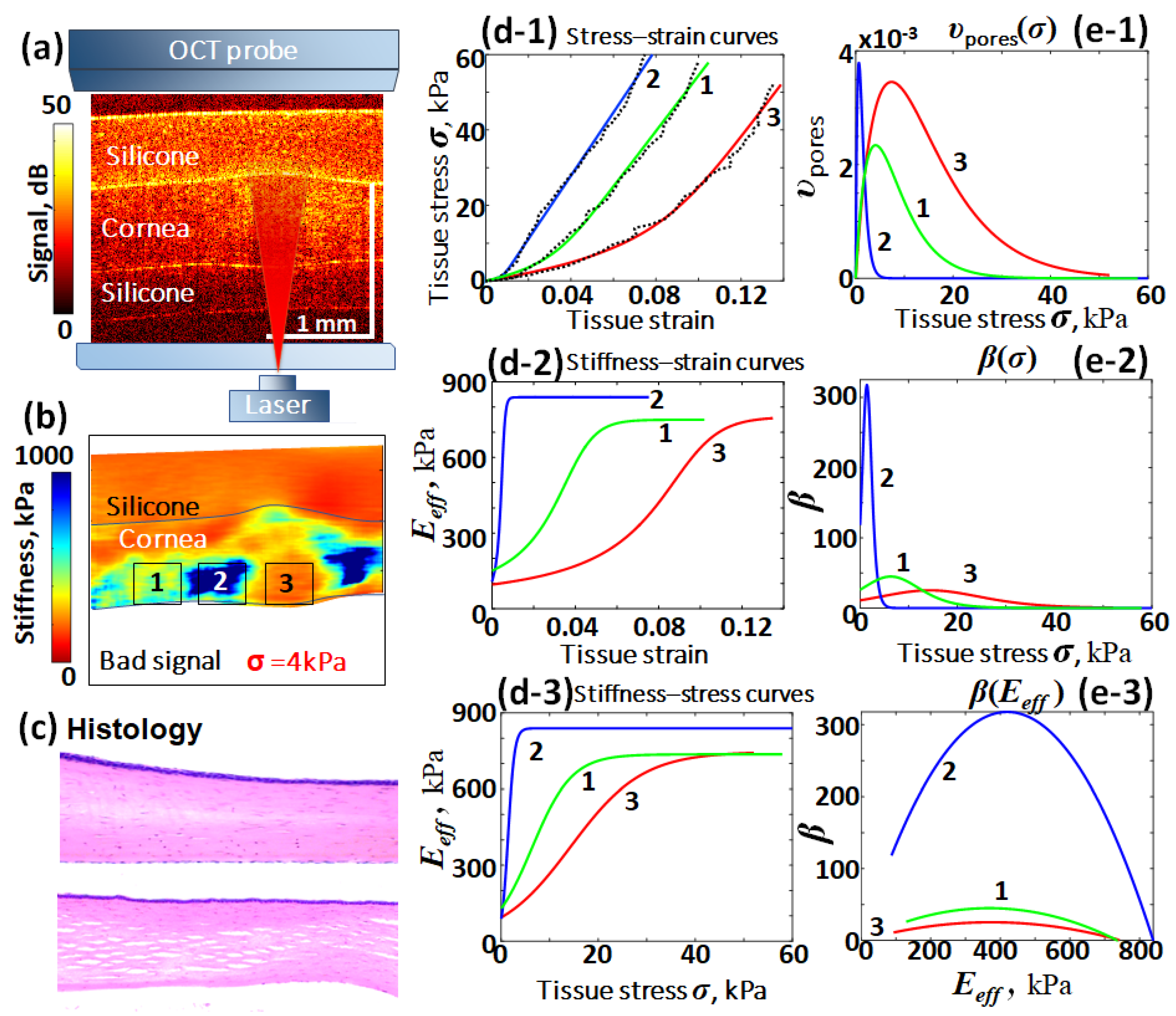 Materials 17 05023 g004