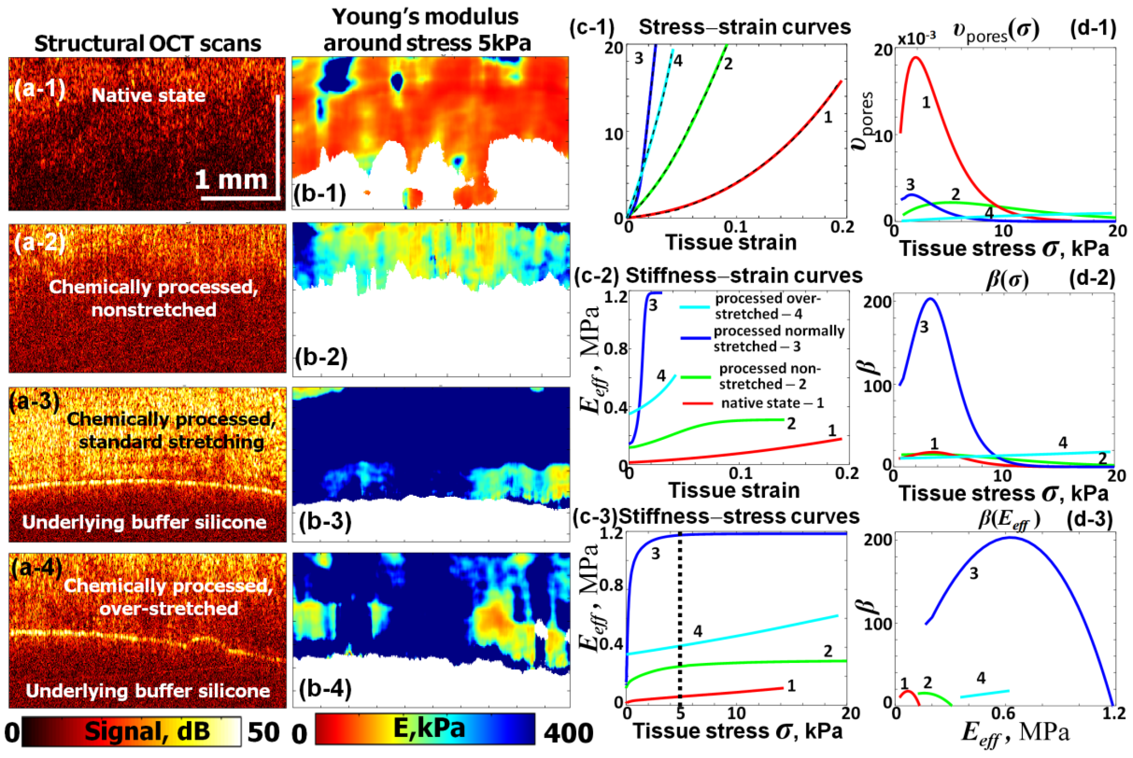 Materials 17 05023 g005